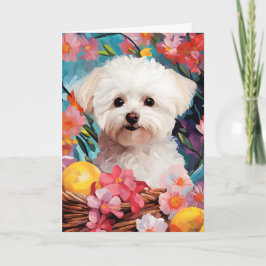 Tarjeta Bichon Frise Feliz Pascua