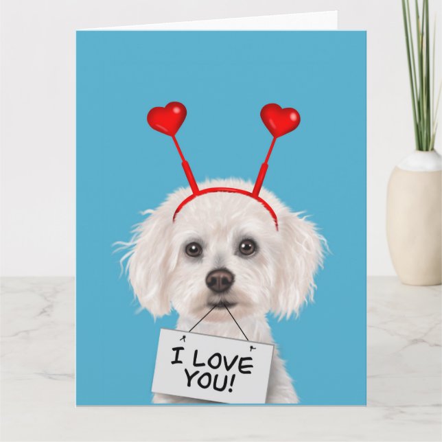 Tarjeta Bichon Frise "I love you" Valentines (Anverso)