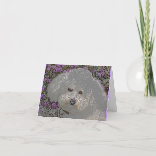 Tarjeta Bichon Frise Notecard (Anverso)