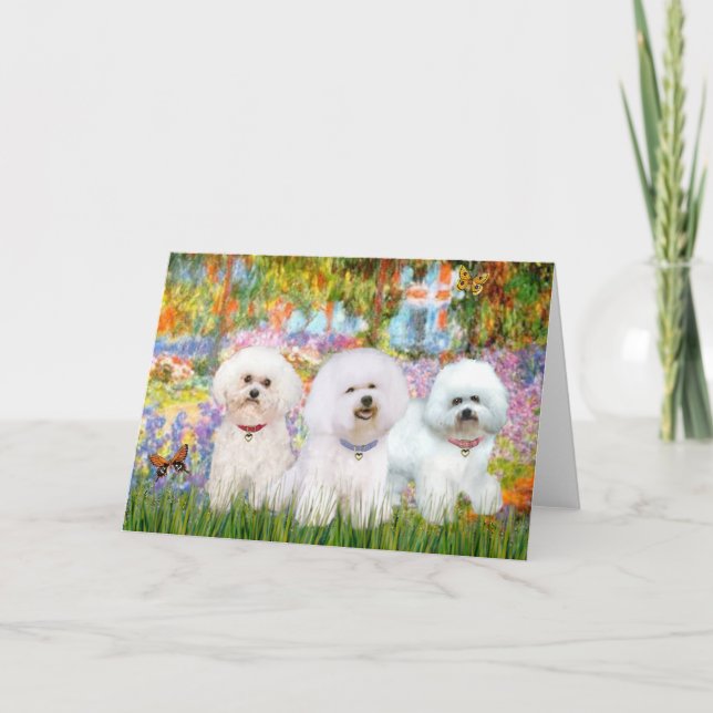 Tarjeta Bichon Frise Trio - Garden (VG) (Anverso)