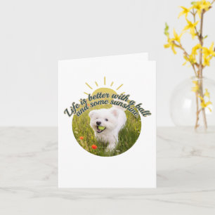Tarjeta Bichon y Bola Días de Diente de León 