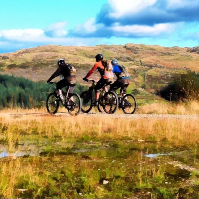 TARJETA BICICLETA DE MONTAÑA (Subido por el creador)
