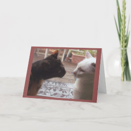 Tarjeta Bienvenida a los gatos