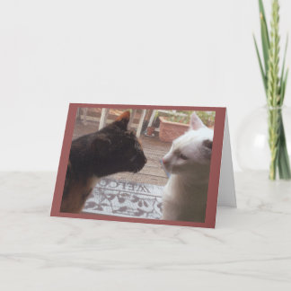 Tarjeta Bienvenida a los gatos
