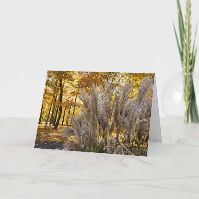 Tarjeta Bienvenida Fall Golden Twilight Miscanthus (Anverso)