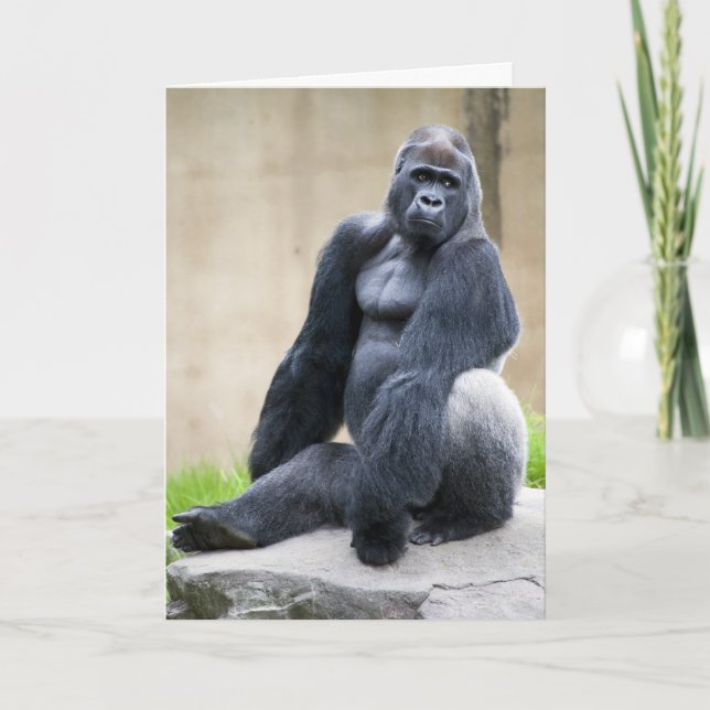 Tarjeta Big Ape (Anverso)