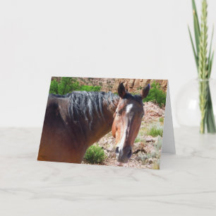 Tarjeta Big Bay American Quarter Horse - Blank Inside