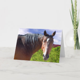 Tarjeta Big Bay American Quarter Horse - Blank Inside