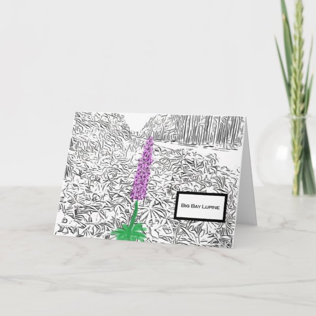 Tarjeta Big Bay Lupine 2023 Blank Notecard (Anverso)