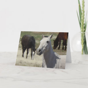 Tarjeta Big Eyes Bonito Pequeño Gris Gris Pony    HerdBlan