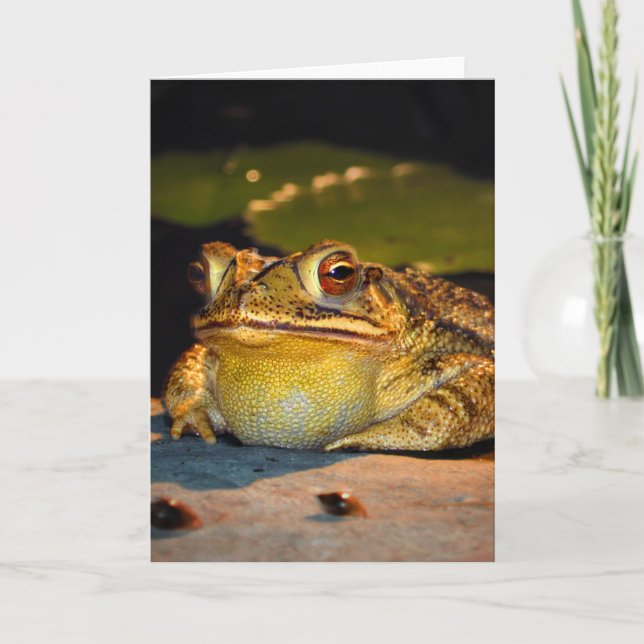 Tarjeta Big Fat Toad (Anverso)