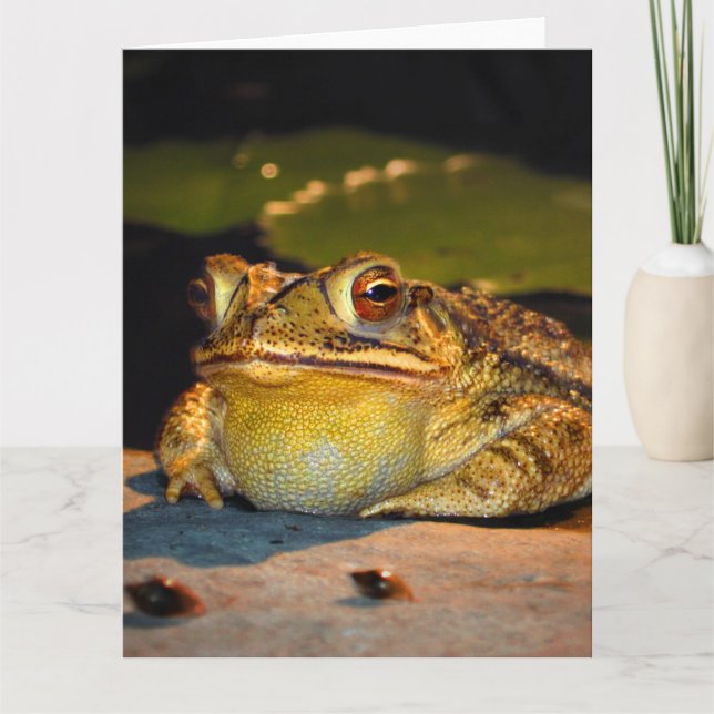 Tarjeta Big Fat Toad (Anverso)