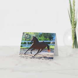 Tarjeta Billete de caballo/tarjeta de felicitación 5