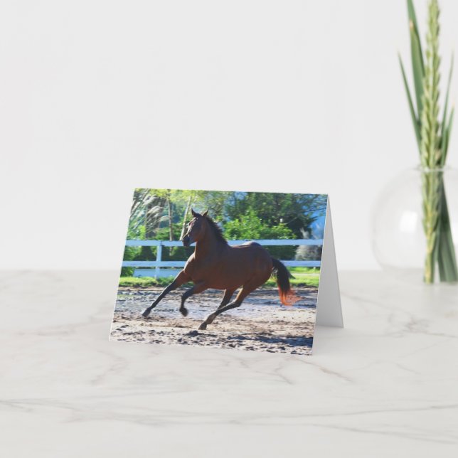 Tarjeta Billete de caballo/tarjeta de felicitación 5 (Anverso)