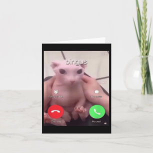 Tarjeta Bingus Está Llamando A Sphinx Sin Pelo Gato Gato M