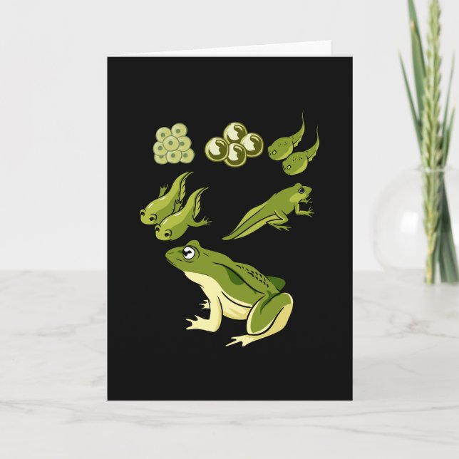 Tarjeta Biología - Ciclo de vida de las ranas (Anverso)