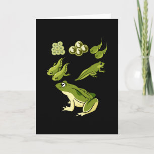 Tarjeta Biología - Ciclo de vida de las ranas