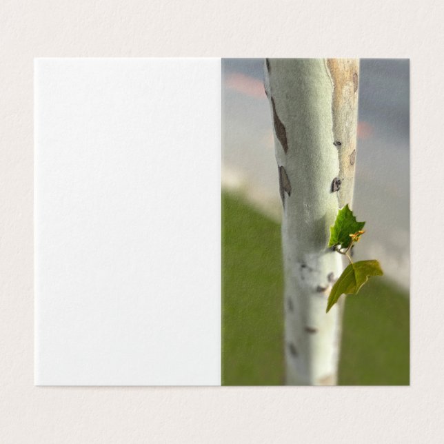 Tarjeta Birch al borde de la carretera (Exterior desplegado)