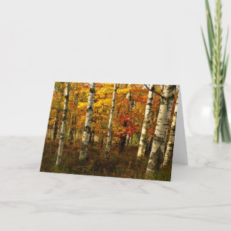 Tarjeta Birch Forest Greeting Card