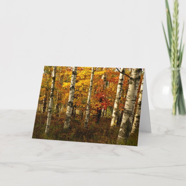 Tarjeta Birch Forest Greeting Card (Anverso)