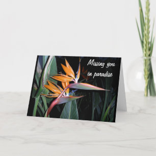 Tarjeta Bird
