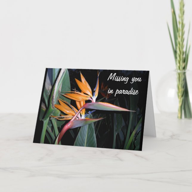 Tarjeta Bird (Anverso)
