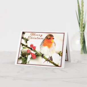 Tarjeta Bird navidad