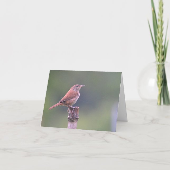 Tarjeta Bird Notecard (Anverso)