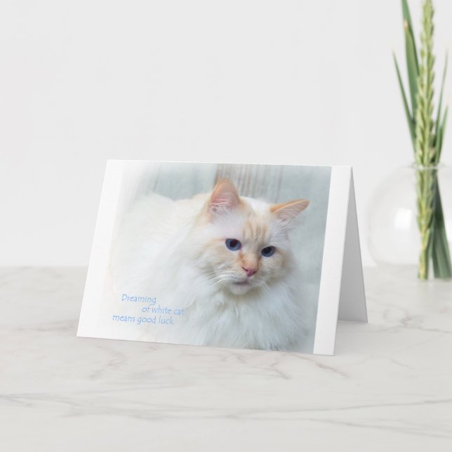 Tarjeta Birman Cat (Anverso)