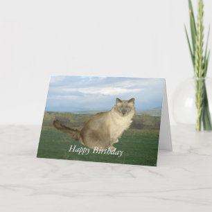 Tarjeta Birman Cat Birthday