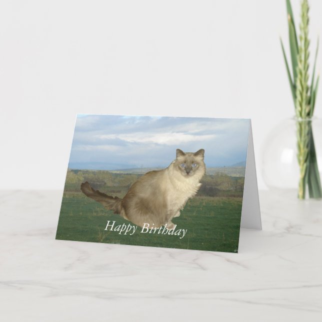 Tarjeta Birman Cat Birthday (Anverso)