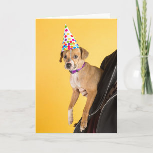 Tarjeta Birthday Card