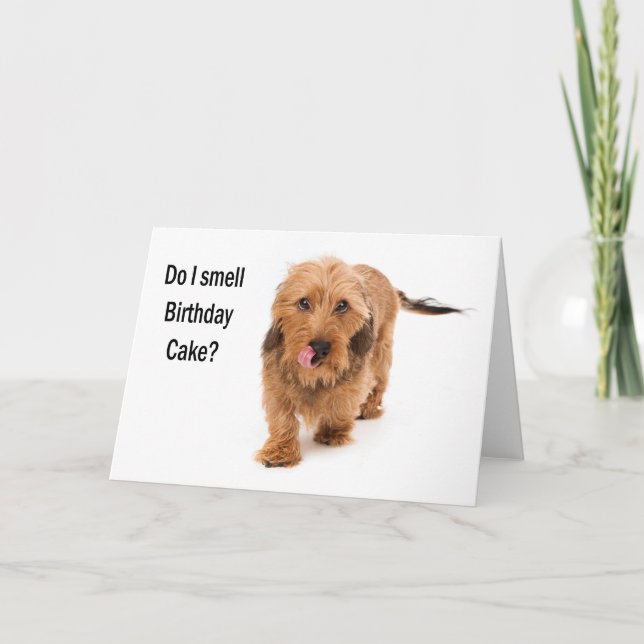Tarjeta birthday card Dachshund dog smelling birthday cake (Anverso)