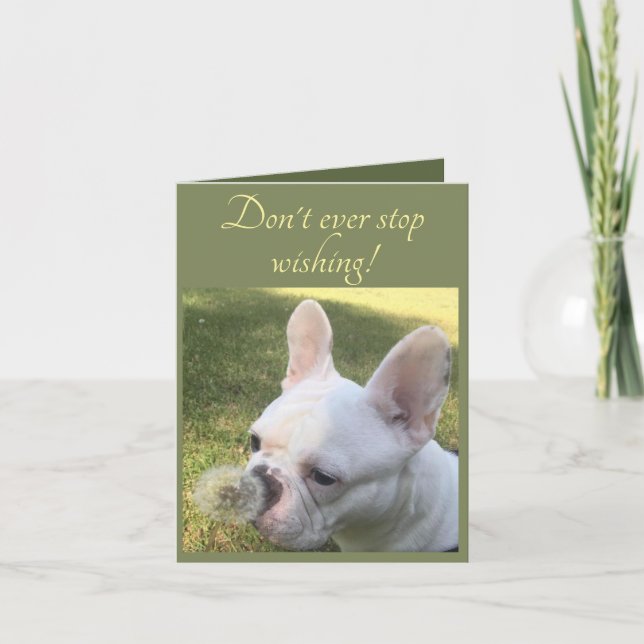 Tarjeta Birthday Card Wishing French Bulldog dandelion (Anverso)