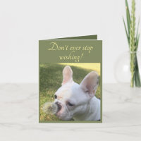 Birthday Card Wishing French Bulldog dandelion