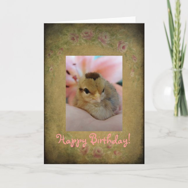 Tarjeta Birthday Chick (Anverso)