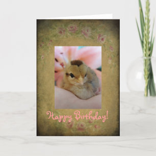 Tarjeta Birthday Chick