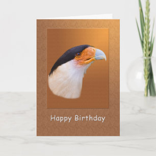 Tarjeta Birthday, Crested Caracara Bird