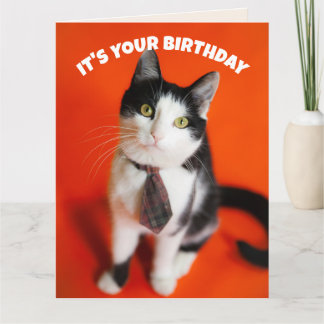 TARJETA  BIRTHDAY CUTE TIE CAT FRIEND GREETING CARD