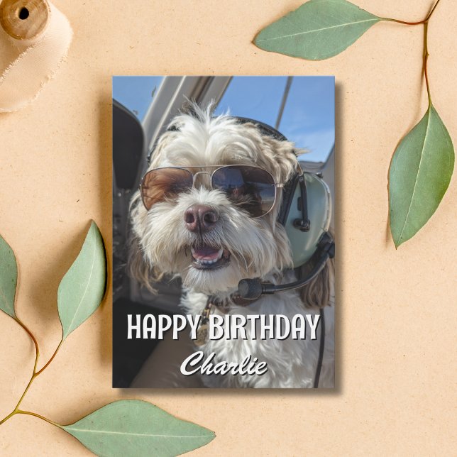 Tarjeta Birthday Dog Pilot Aviator Sunglasses Plane Funny (Subido por el creador)