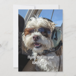 Tarjeta Birthday Dog Pilot Aviator Sunglasses Plane Funny