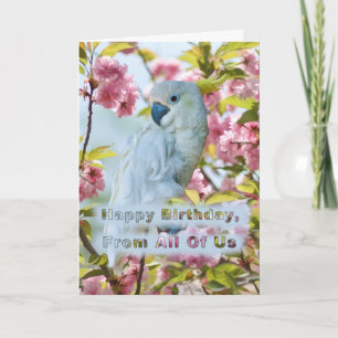 Tarjeta Birthday, From All of Us, White Parrot