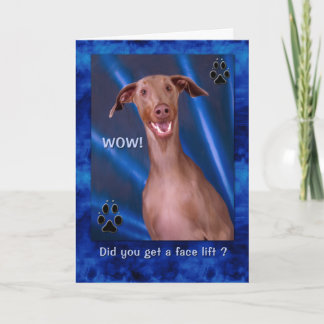 Tarjeta Birthday Funny Doberman Dog Painting