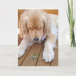 Tarjeta Birthday golden retriever with frog<br><div class="desc">golden retriever with green frog on wood for funny birthday</div>