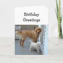 Birthday Greetings from the Group Pet Dog Humor