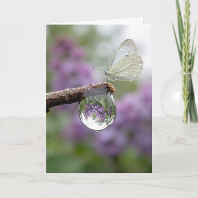 Tarjeta Birthday Lilacs Reflecting in a Raindrop  (Anverso)