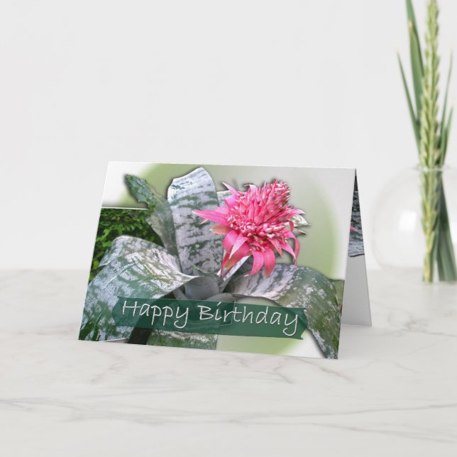 Tarjeta Birthday Pink Bromeliad (Anverso)