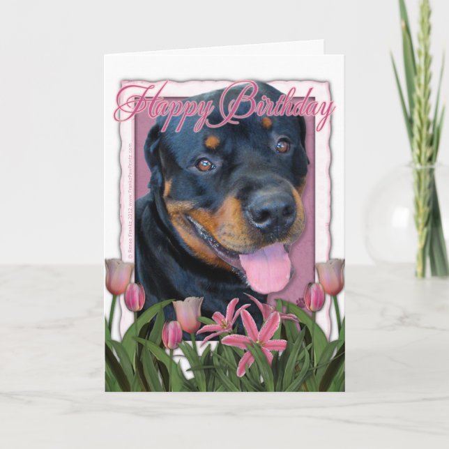Tarjeta Birthday - Pink Tulips - Rottweiler - Harley (Anverso)