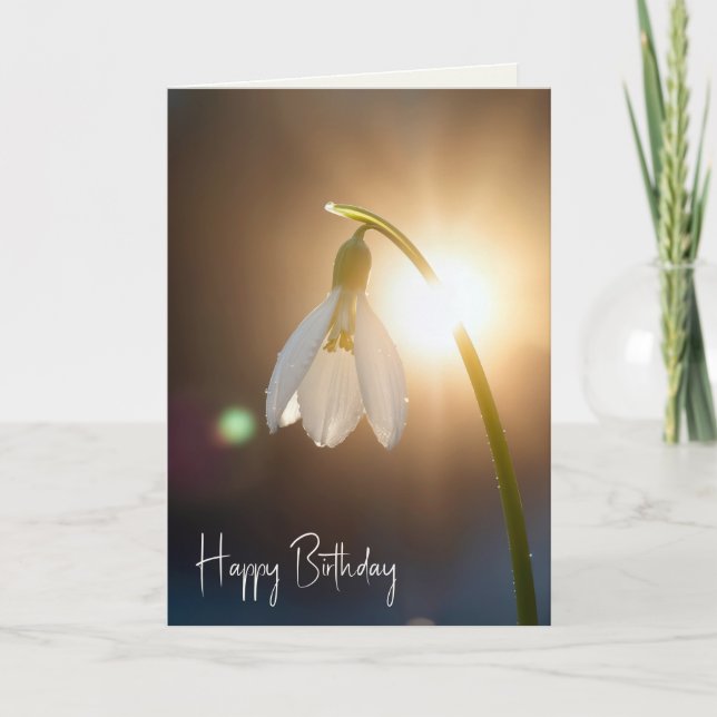 Tarjeta Birthday Snowdrop with Dewdrops in Sunlight (Anverso)