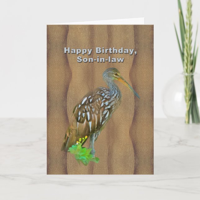 Tarjeta Birthday, Son-in-law, Limpkin Marsh Bird (Anverso)